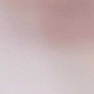 FP009_Plain_Pink